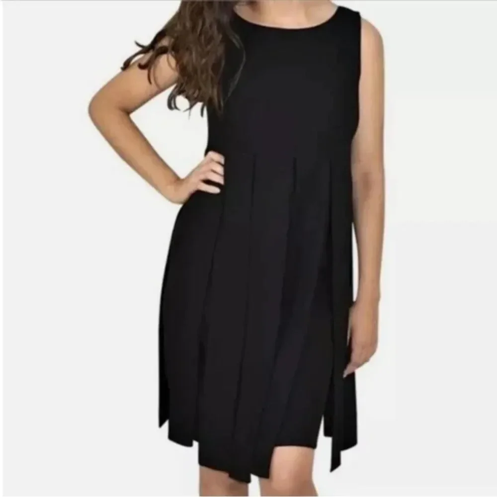 Cabi Flapper Empire Waist Black Sleeveless Car Wash Shift Dress 236 Women Size 4